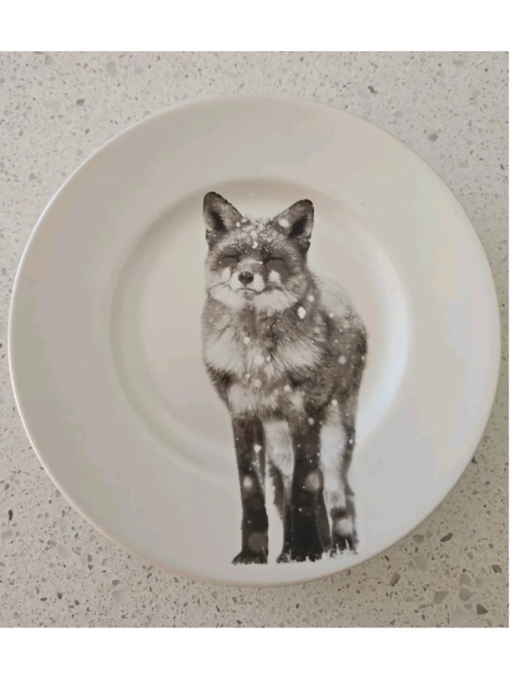 Pier 1 Imports Snow Forest Fox Accent Salad Plates Stunning Snow Flakes 3 pcs
